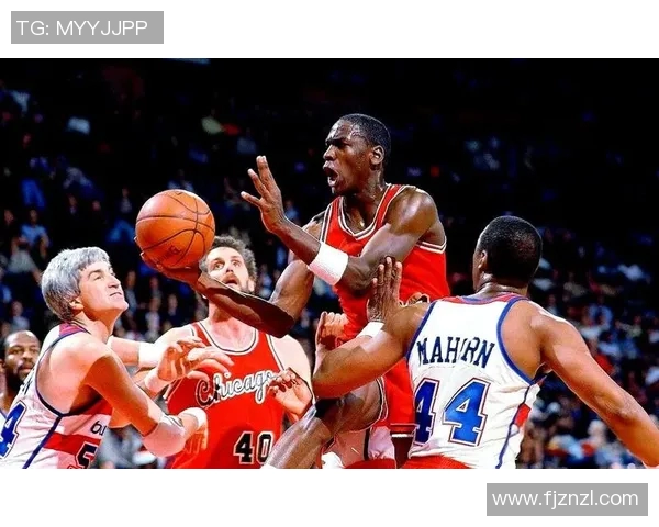 威尔篮球明星的传奇之路与辉煌成就探秘